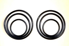 Set 2 Cinghie di Ricambio