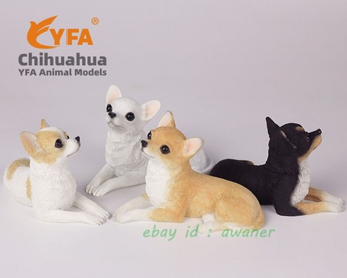 Yfa pezzi chihuahua modello - 4,