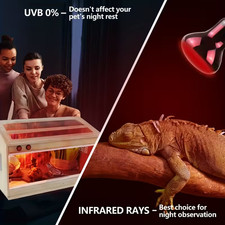 Lampada INFRAROSSI riscaldante infrarossi calore pulcini rettili e tartarughe