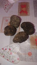 Tartufi freschi neri - ,