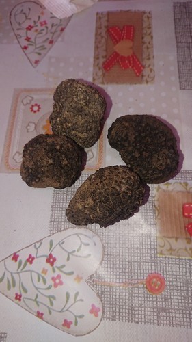 Tartufi freschi neri - freschi,