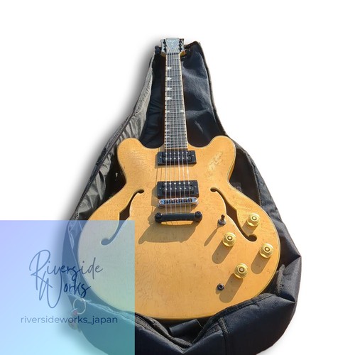 Chitarra elettrica semivuota