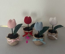 Mini tulipano, vasetto fiore