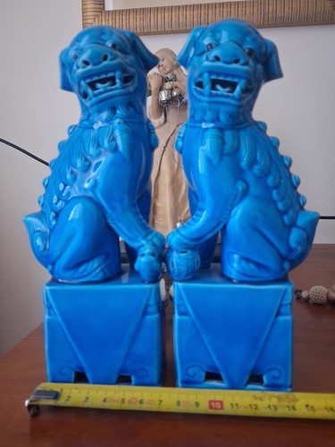 Coppia cani fo - coppia, di