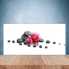 Splashback Paraschizzi