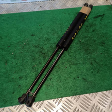 Asta ammortizzante portello