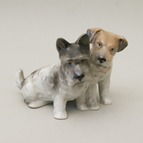 Scottish terrier jack - jack, russel