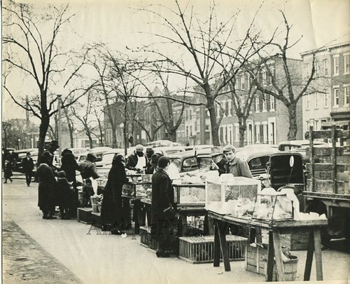 Street fata pulci cibo - pulci, mercato