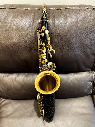 Professional alto saxophone - alto,