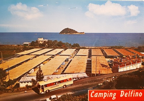 Cartolina camping delfino - cartolina,