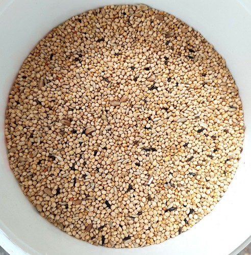 Semi esotici 4kg - semi, per