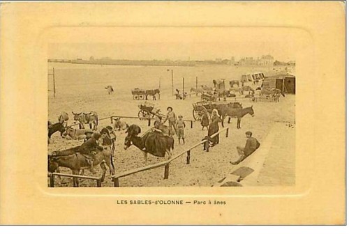 Sables olonne parco a - 85.,