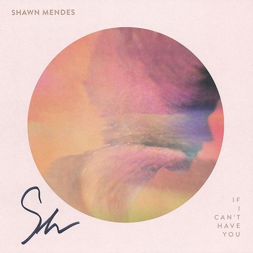 Shawn mendes can - shawn, i