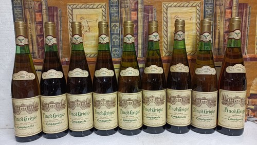 Vino 1980 pinot grigio - vino,
