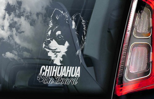 Adesivo auto chihuahua cane - adesivo,
