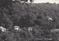 ALLUMIERE - Il faggeto 1959