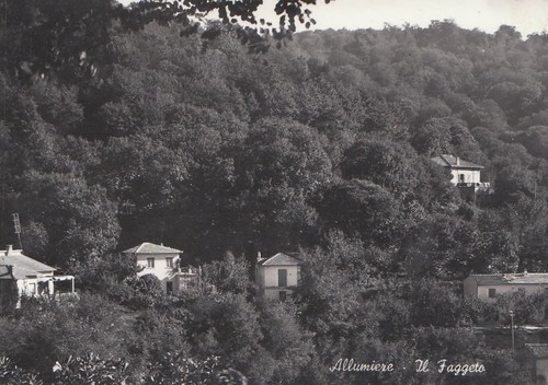 Allumiere faggeto 1959 - -,