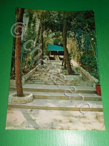 Cartolina tirrenia - tirrenia, (