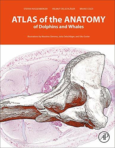 Atlas the anatomy of - atlas,