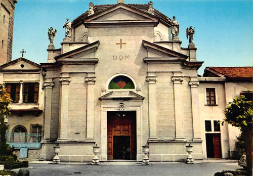 27a cartolina spinone - cartolina,