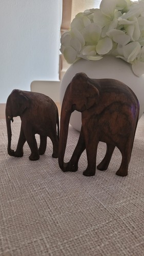 Coppia elefanti legno - in, fatti