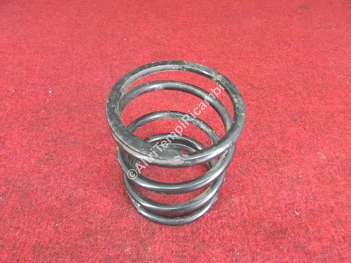 Molla supporto motore fiat - motore,
