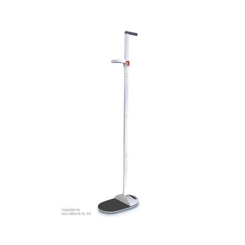 Seca 217 stadiometro scala - 217,