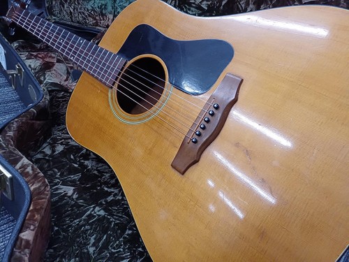 Chitarra acustica guild - acustica, d25nt