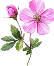 Adesivo vinile colorato fiore
