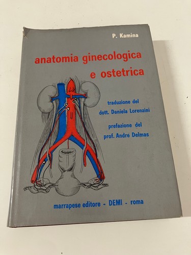 Anatomia ginecologica - anatomia, e
