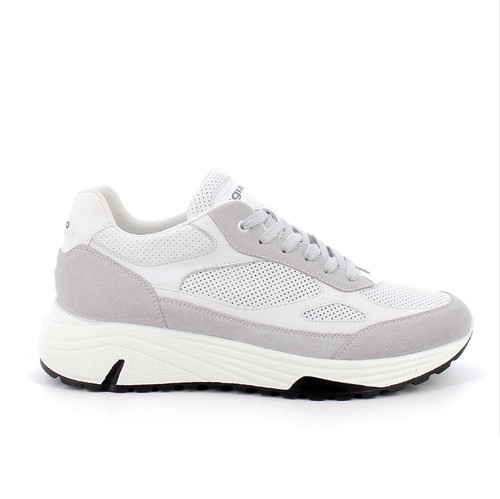 Igi scarpe sneakers uomo - igi&co,