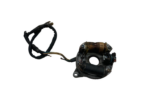 Statore alternatore magnete - statore,