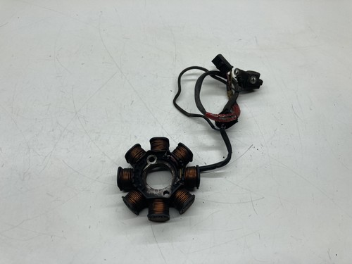 Statore alternatore magnete - statore,