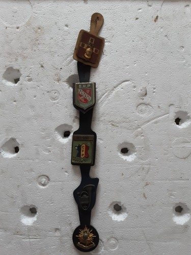 Vintage distintivi - n.5,