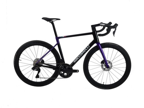 Bici corsa disco carbonio