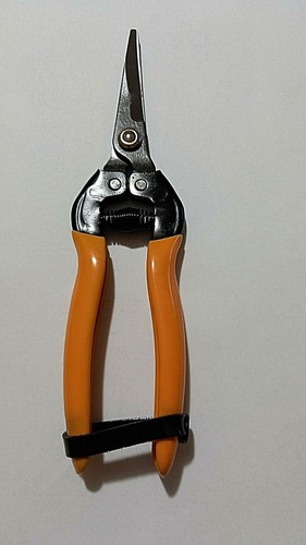 Promozione forbici per - 2,