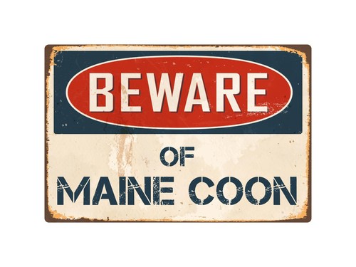 Insegna beware maine - insegna,