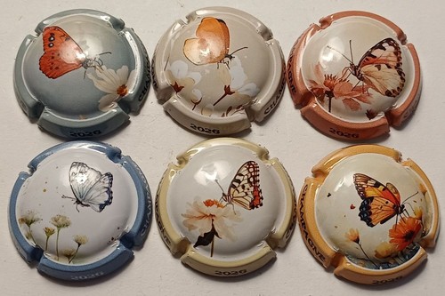 Belles capsules champagne - 6,