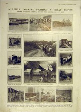 Vecchia stampa antica