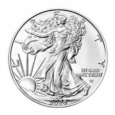 Etats unis dollar argent - 1,