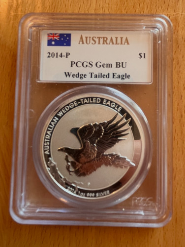 Australia wedge tailed - australia,