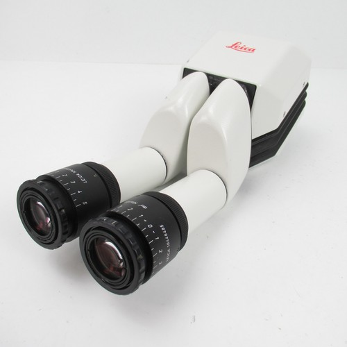 Leica testa microscopio stereo - leica,
