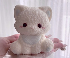 Carino Gattino Gatto Animale