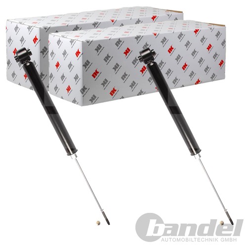 Ammortizzatori a gas - 2x,