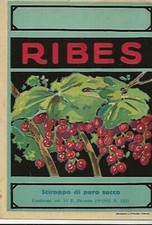 ETICHETTA SCIROPPO PURO SUCCO