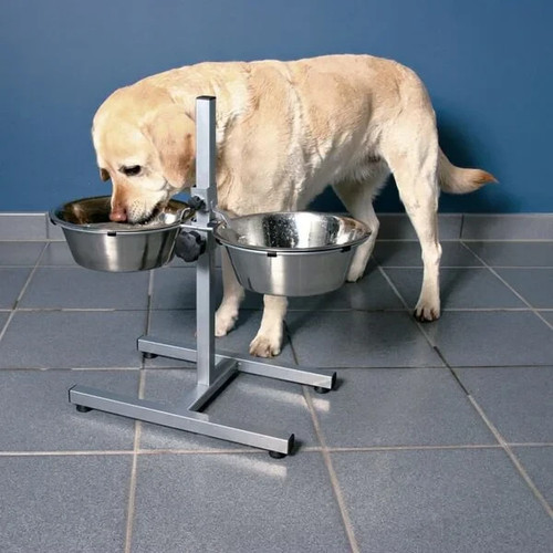 Bar per cani - cani, con