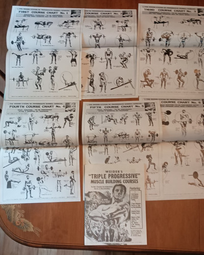 Joe weider triple progressive - triple,