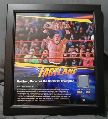 Wwe bill goldberg targa - bill,