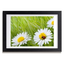 Quadro Tulup MDF incorniciato