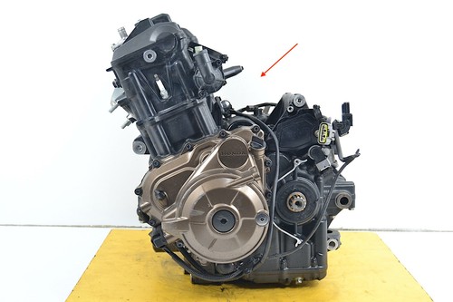 Motore honda africa - africa, 1100